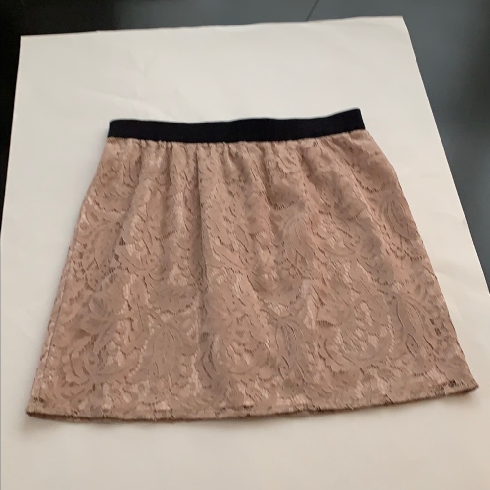 Ann Taylor Loft Blush Lace Mini Skirt
